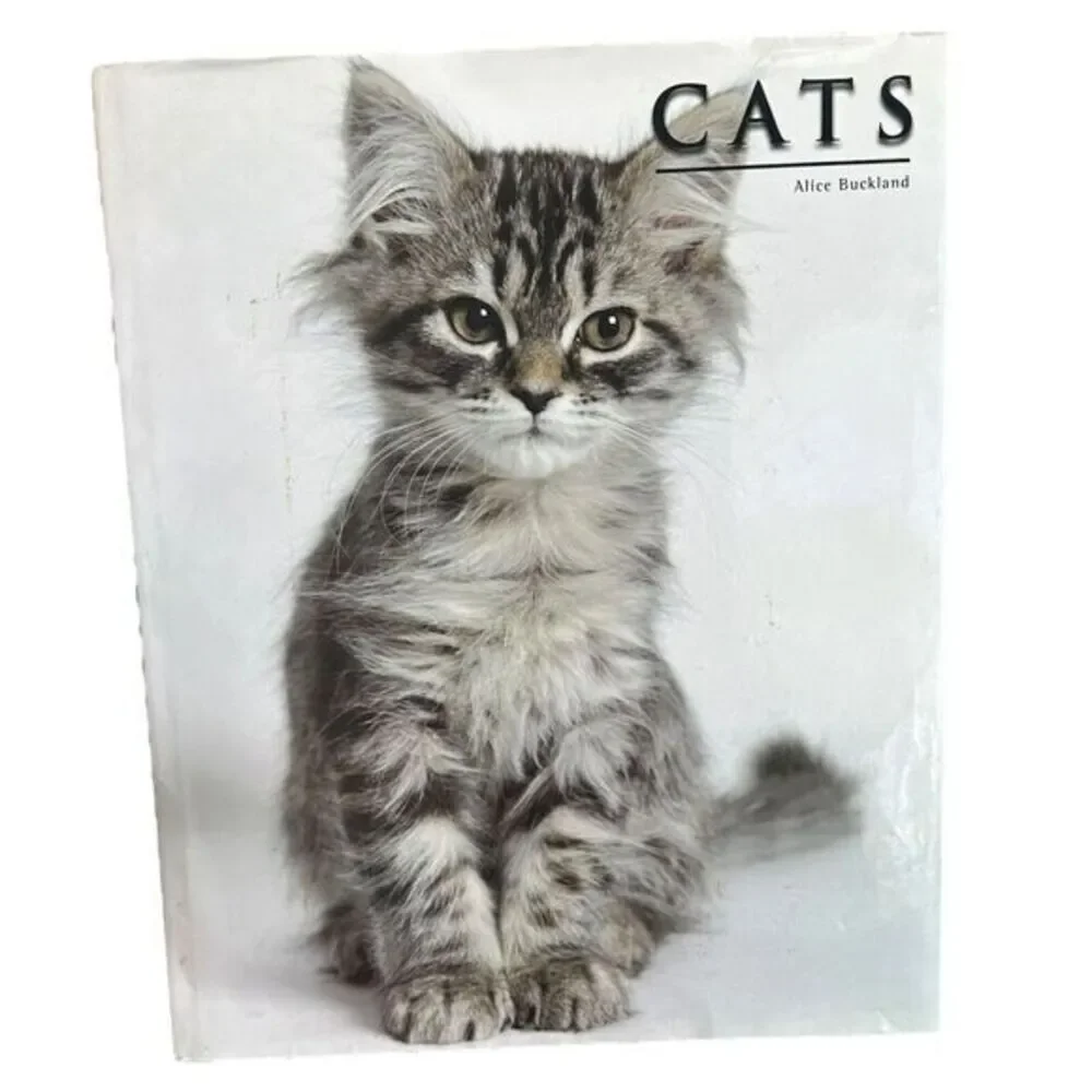 Cats By Alice Buckland 2009 Oversized Hardback Book 15”‎ X 12”
